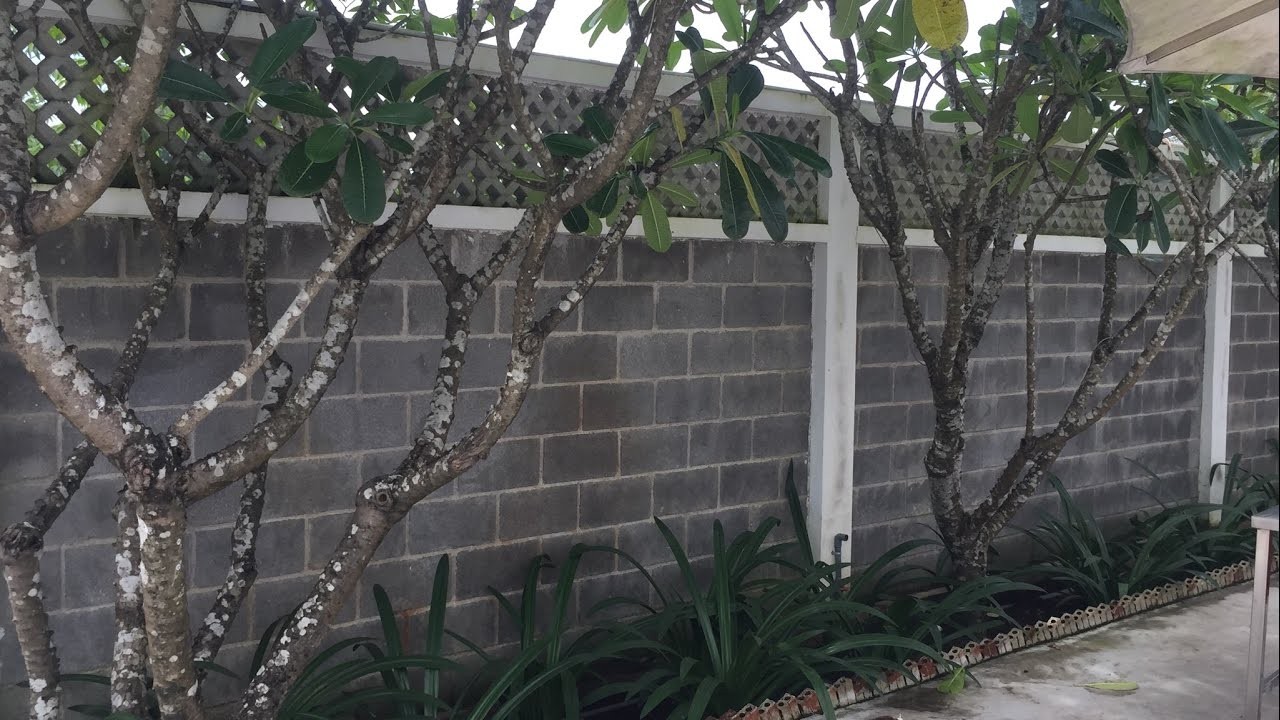 Tuong Rao Gach Block Bong Co